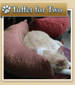 Tuffet for Two Photo - Click to Enlarge